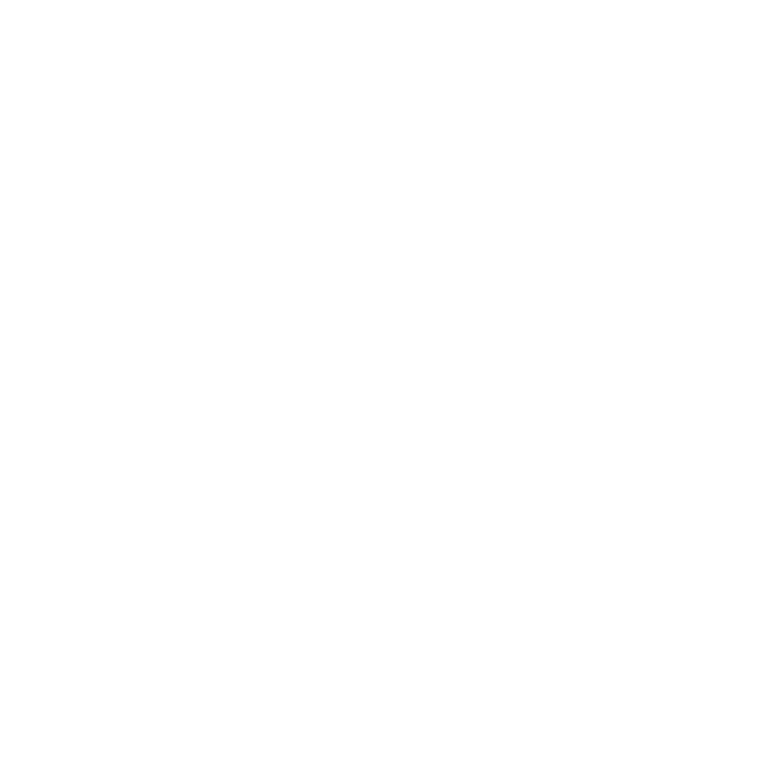 Logo Future Studio